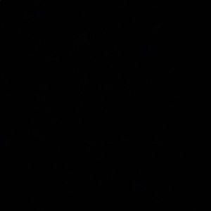 Meet your Posher, Brett